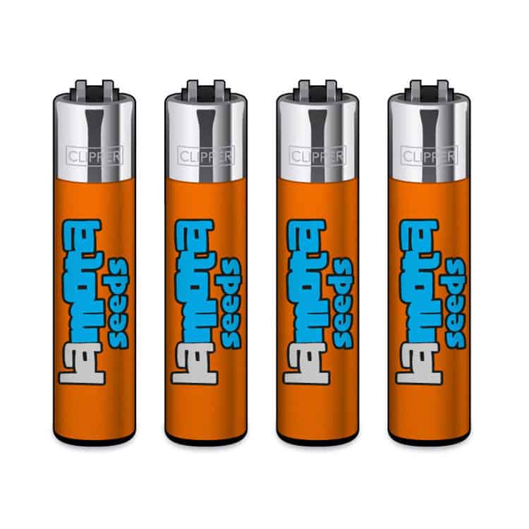 Clipper Classic Large Aanstekers "La Mota Seeds" (4 Stuks)